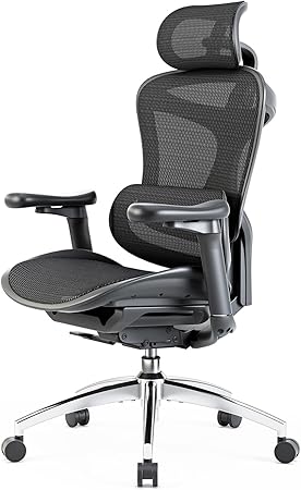 Sihoo Doro C300 silla ergonómica de malla premium