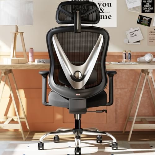 HOLLUDLE silla ergonómica con soporte lumbar 3D