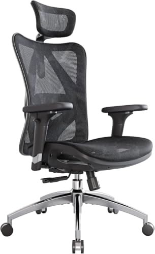 Sihoo M57 silla ergonómica de malla con reposacabezas